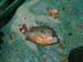 08210019