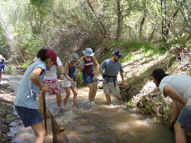 09270066