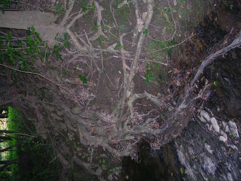 dscn0800