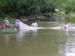 dscn0720