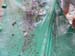 dscn0785