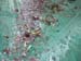 dscn0788