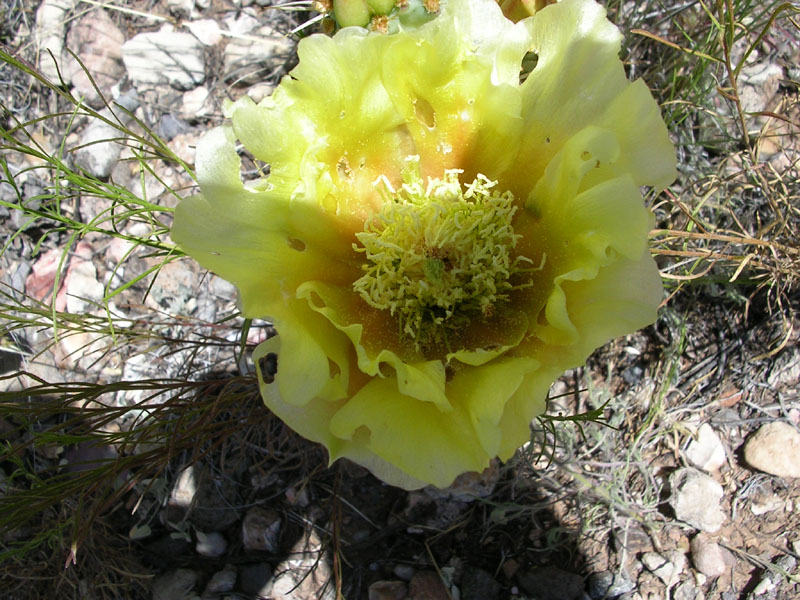 dscn0651