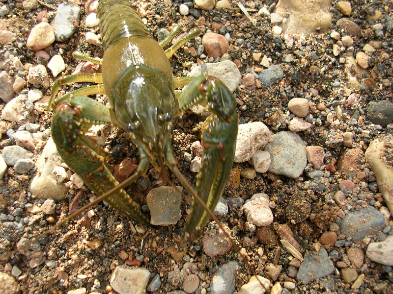 dscn0672