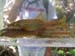 dscn0608
