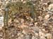 dscn0675