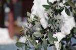 prwedding027