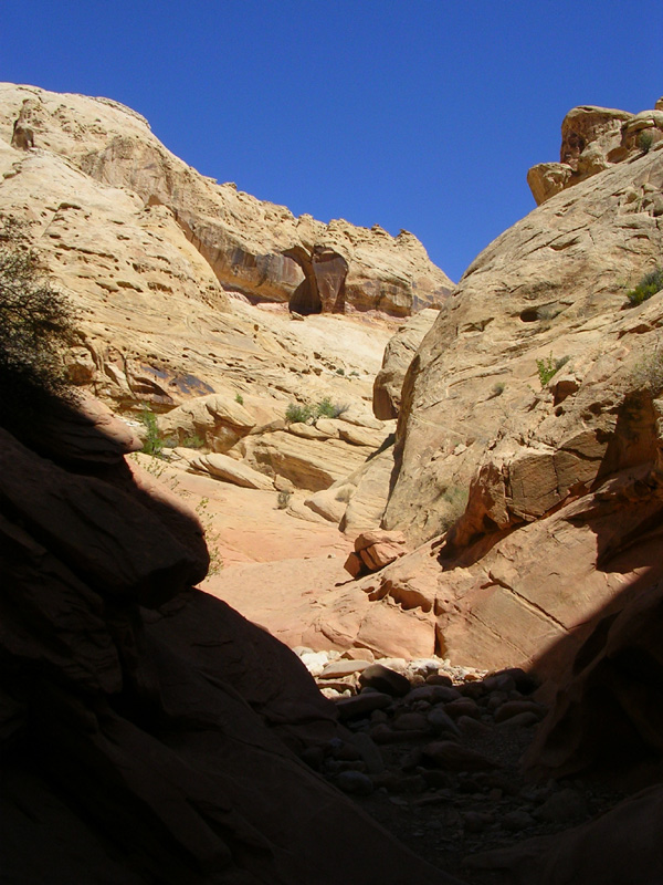 dscn6568