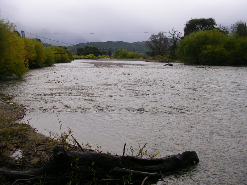 DSCN9561