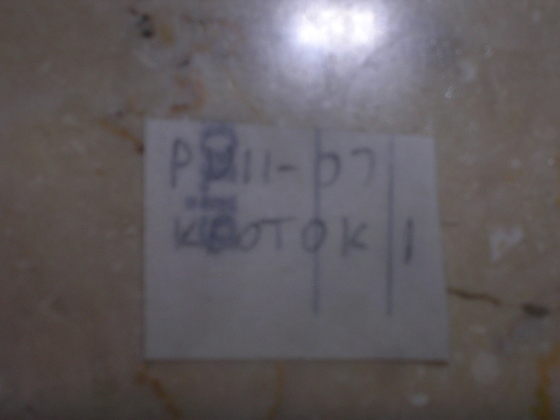 DSCN5439