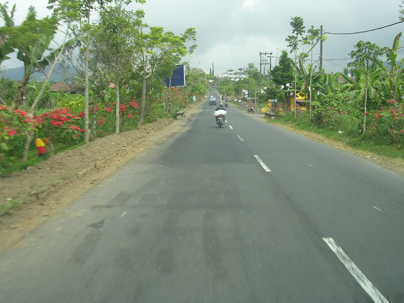 DSCN5371