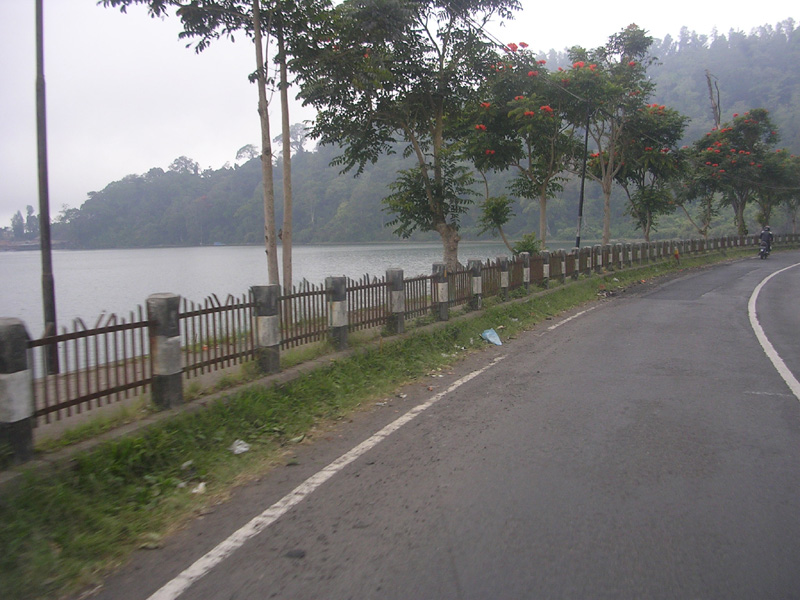 DSCN5379