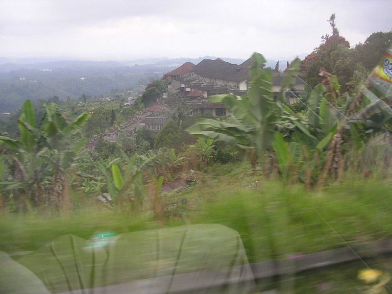 DSCN5383