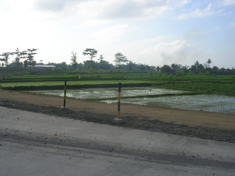 DSCN5393