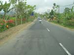 DSCN5371