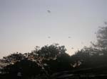 DSCN5402
